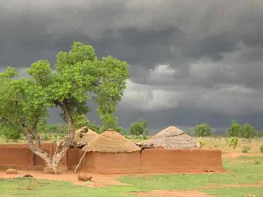 jaridar-magarya-in-maiduguri